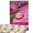 Glucochon forte (Glucosamin + Chondroitin)  120 Kaps. 110g Vivasan