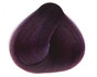 Sanotint Haarfarbe Classic Bilberry (nr.21) 125ml 